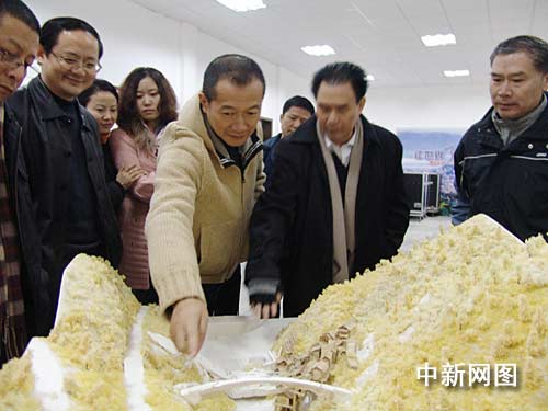 �T���H�R���ҽ����T(m��n)ɽ�錍(sh��)���ݳ�����(l��)���`��